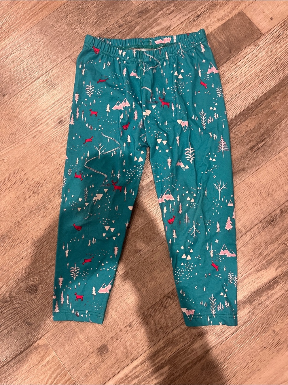Patagonia Teal Woodland Capilene Long underwear Bottoms with Red Accents